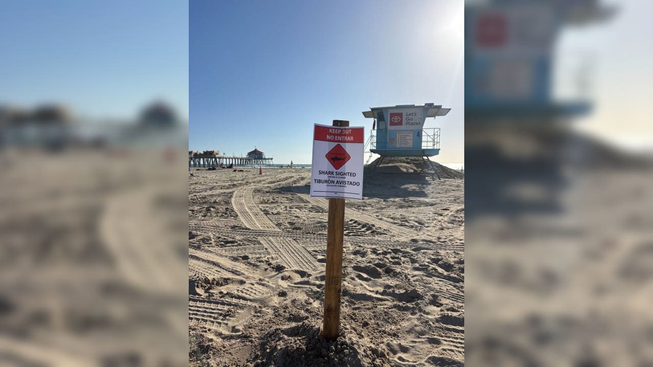 A shark sighted warning sign posted on the sand at Huntington Beach during the closure, with a lifeguard tower and the pier behind it. Marine Safety closed the water from Seapoint Street to the pier through 3 p.m. Wednesday.